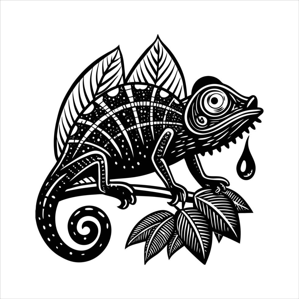 chameleon drinking water off a leaf vector