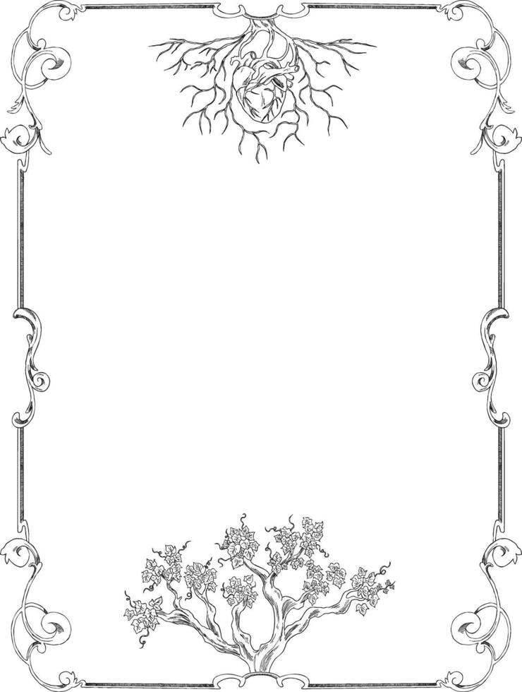 Vines plant botanical frame and border vector