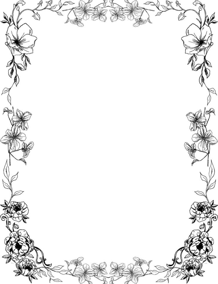 wild flower botanical frame and border vector