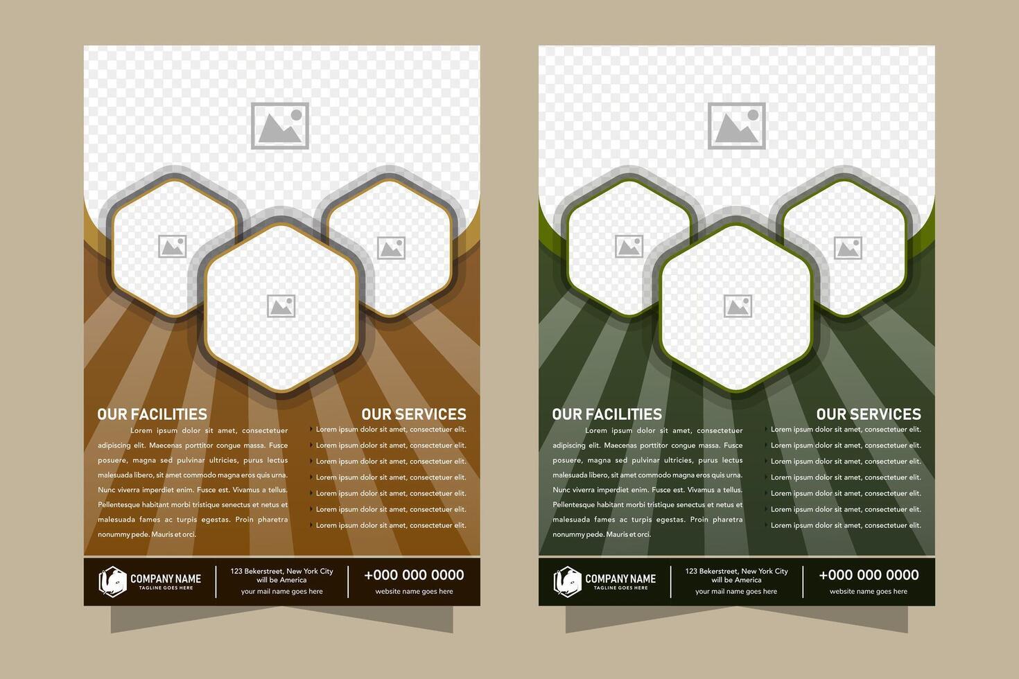 Pet Animal Care Flyer. space for photo collage on hexagon shape. green and brown colors of background vector