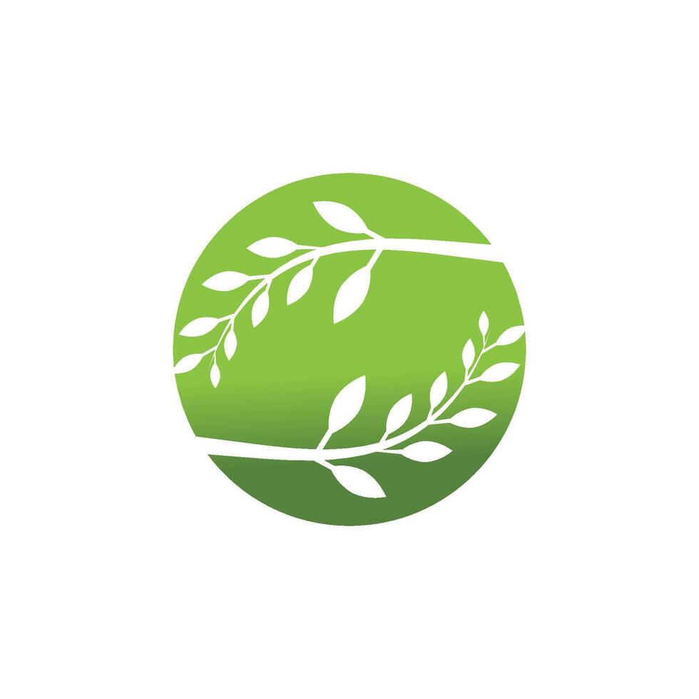 Stylized branch element logos vector