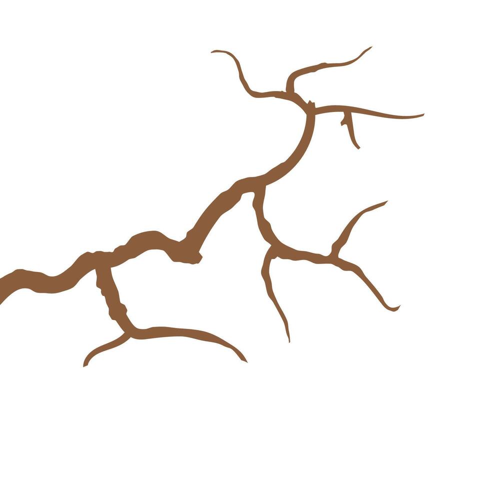 Stylized branch logos symbol vector