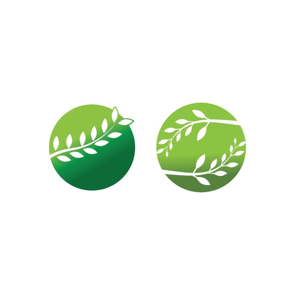 Stylized set branch logo and symbol vector