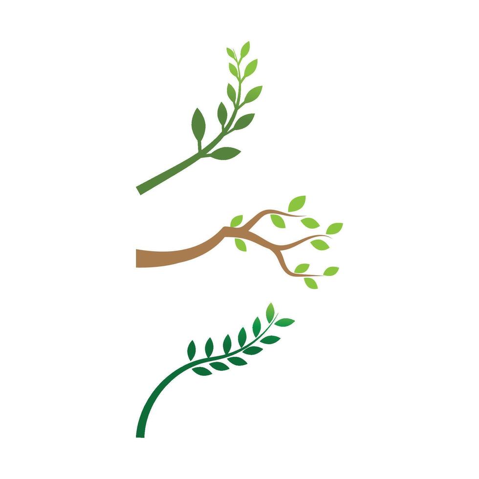 Stylized set branch logos and symbol vector