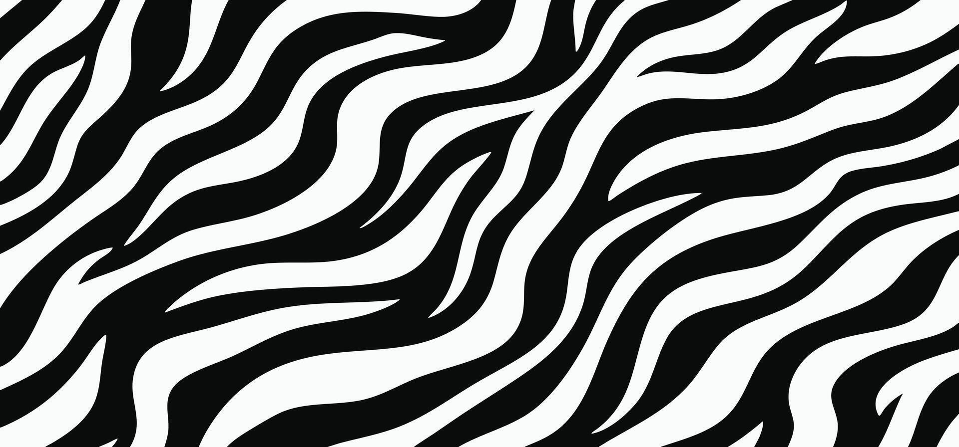 Black and white zebra print pattern or skin texture background vector