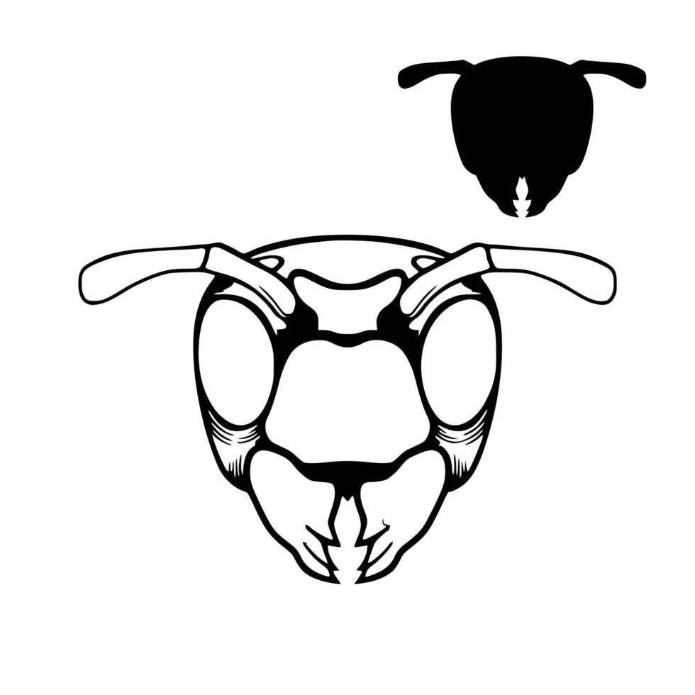 A black and white drawing of a bee head vector