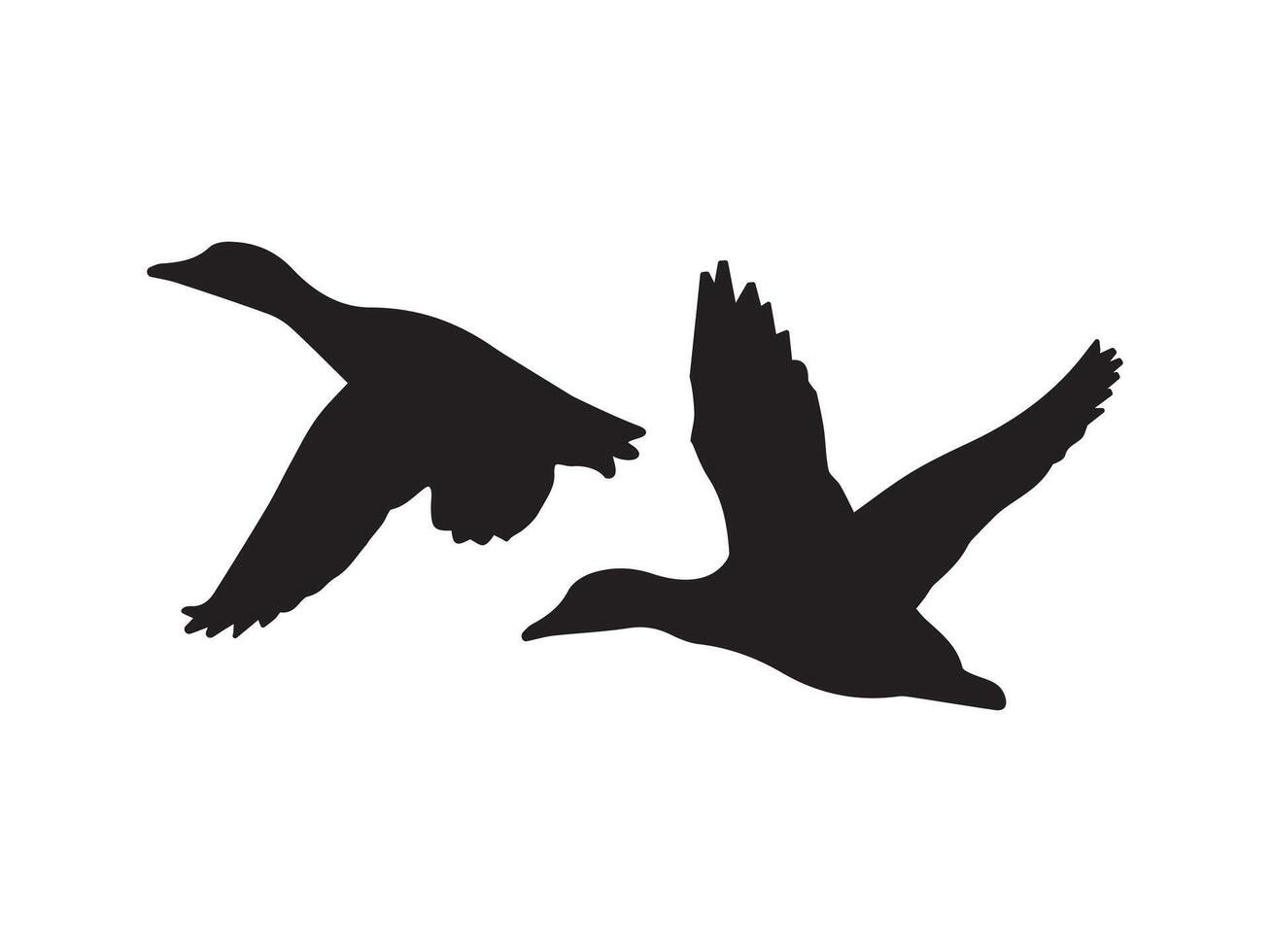 illustration of a flying seagull, flying seagull sillhouette illustration art vector