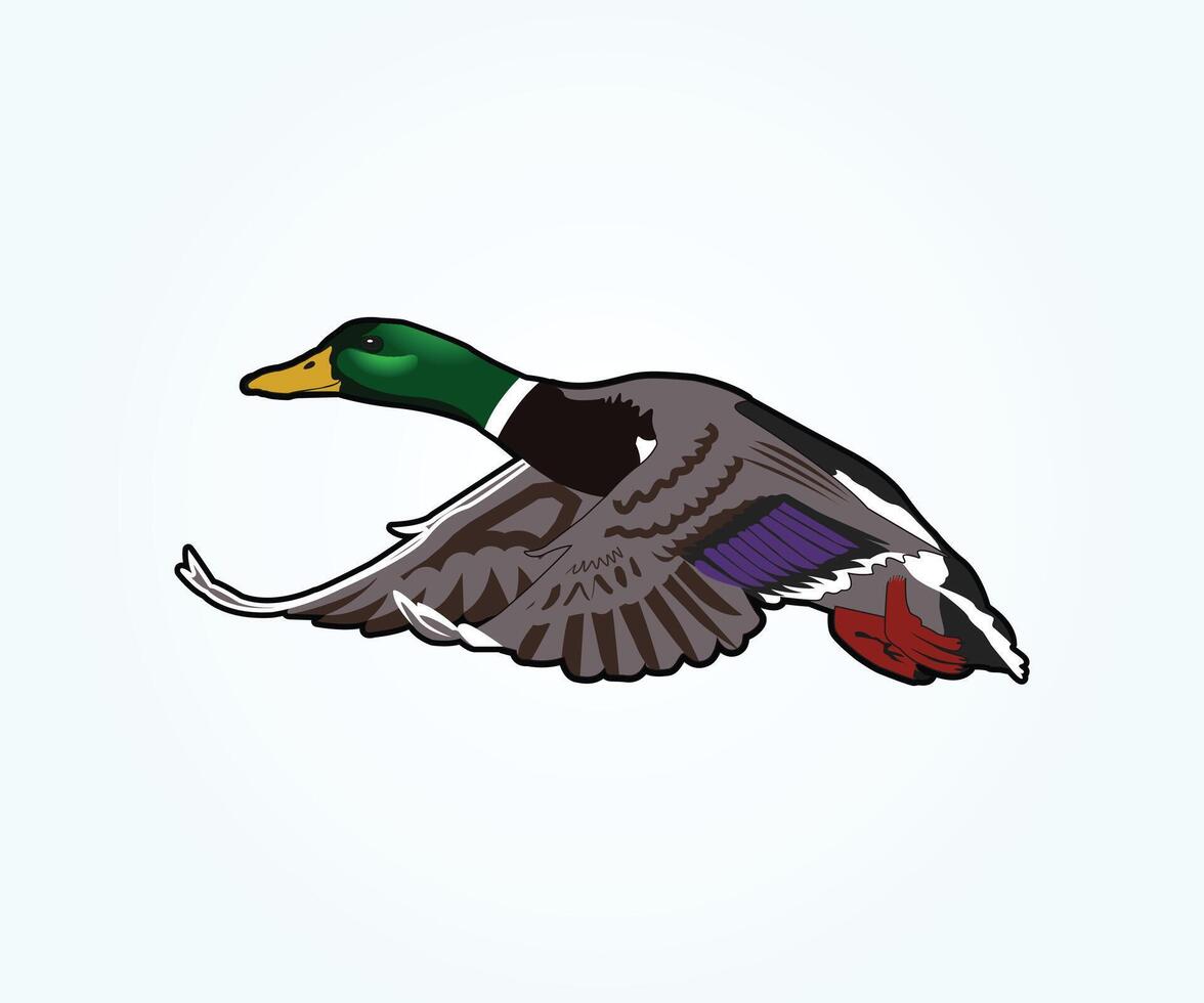 mallard duck illustration, a duck flying in the air with its wings spread out vector