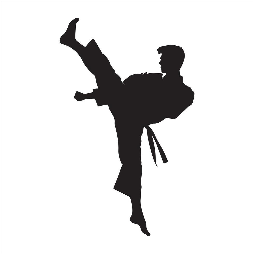Karate silhouette white background vector