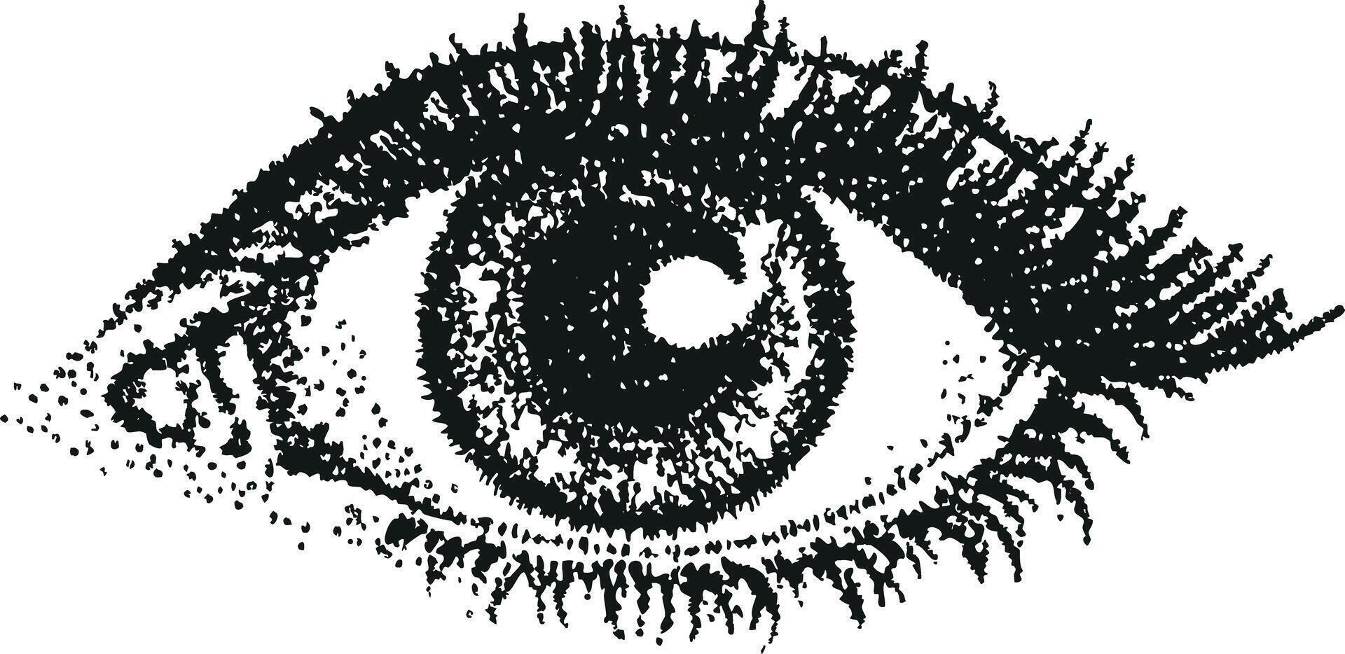 Monochrome Line Art Illustration of Human Eye vector