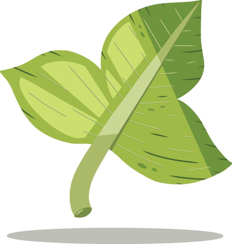 Simple green leaf clover design illustration vector