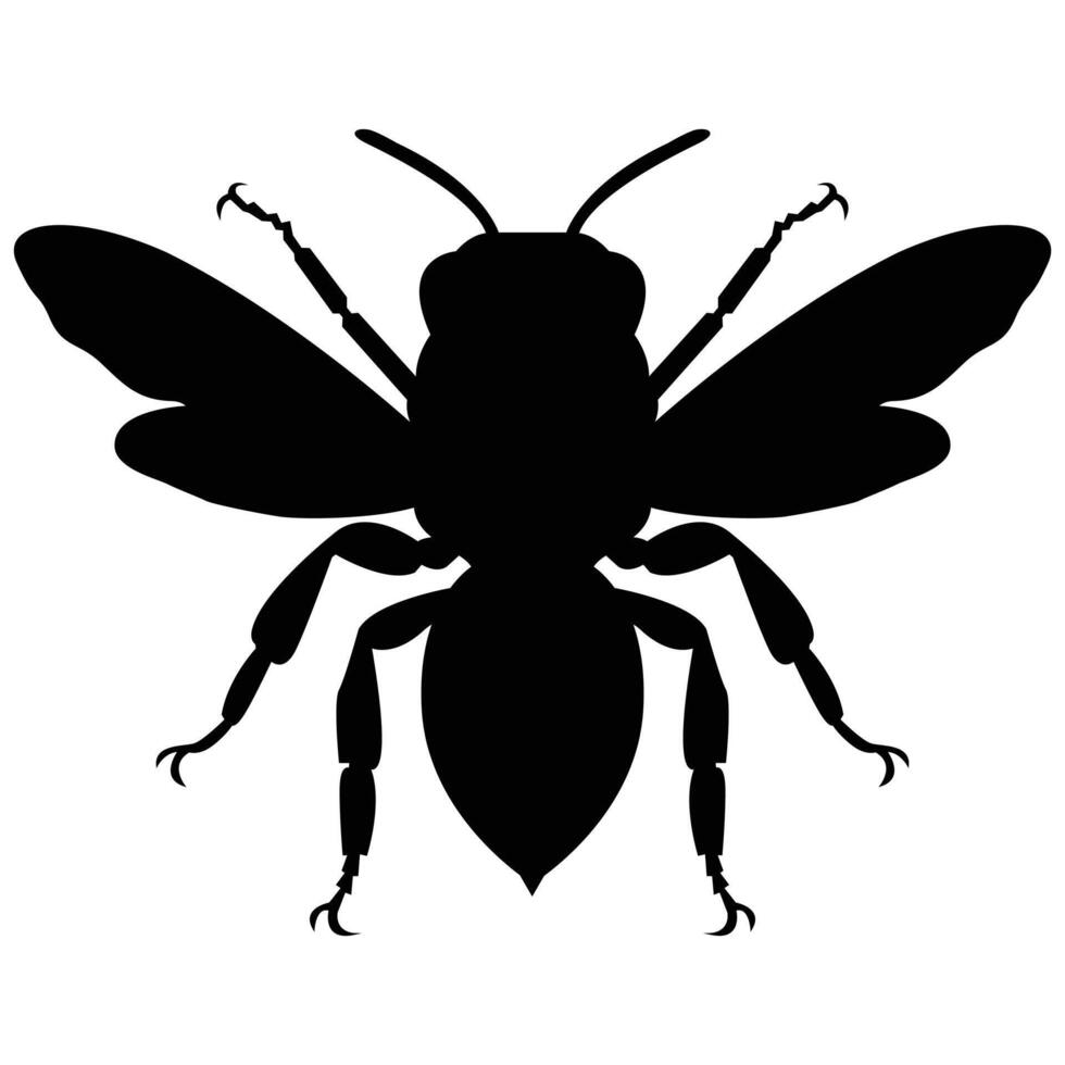 bee silhouette of a queen bee illustration on a white background vector
