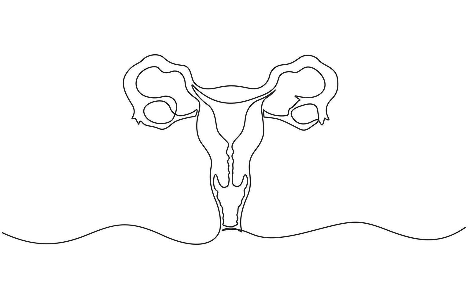 One continuous line drawing of woman uterus. Ovary and womb reproductive system in simple linear style. vector