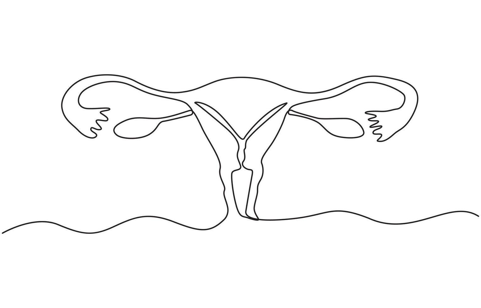 One continuous line drawing of woman uterus. Ovary and womb reproductive system in simple linear style, illustration vector