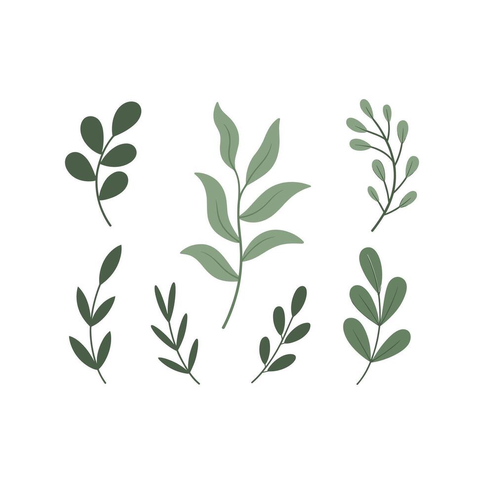 Green Branches With Leaves illustration isolated on white background vector