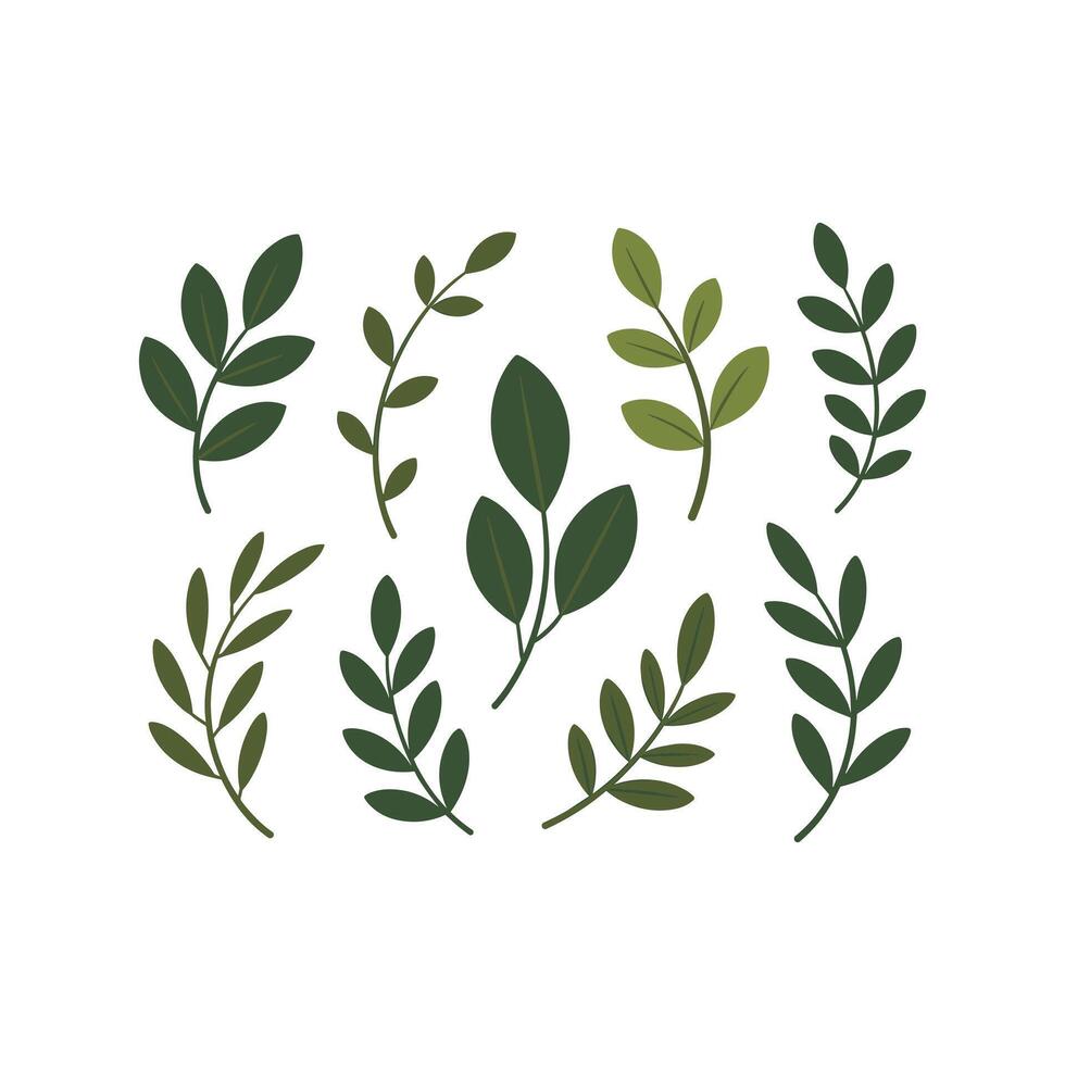Green Leaf Branches Clipart Set Botanical Foliage Elements vector