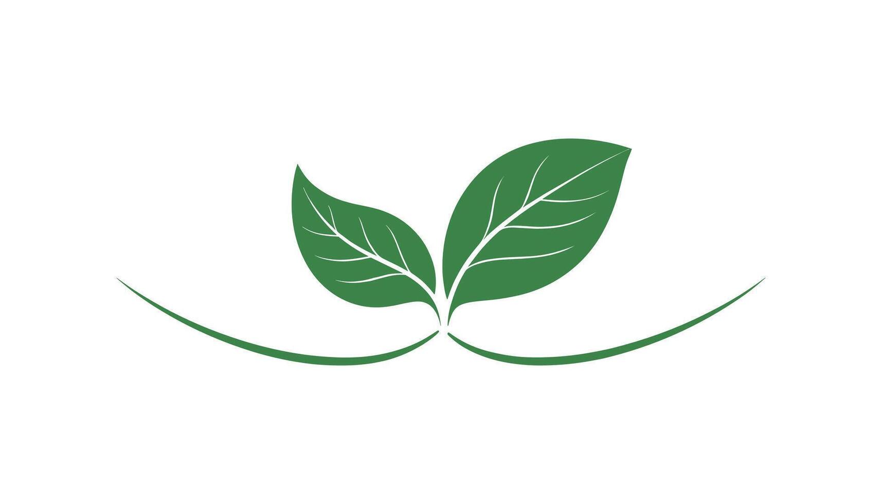 two green leaf with line illustration isolated on white background vector