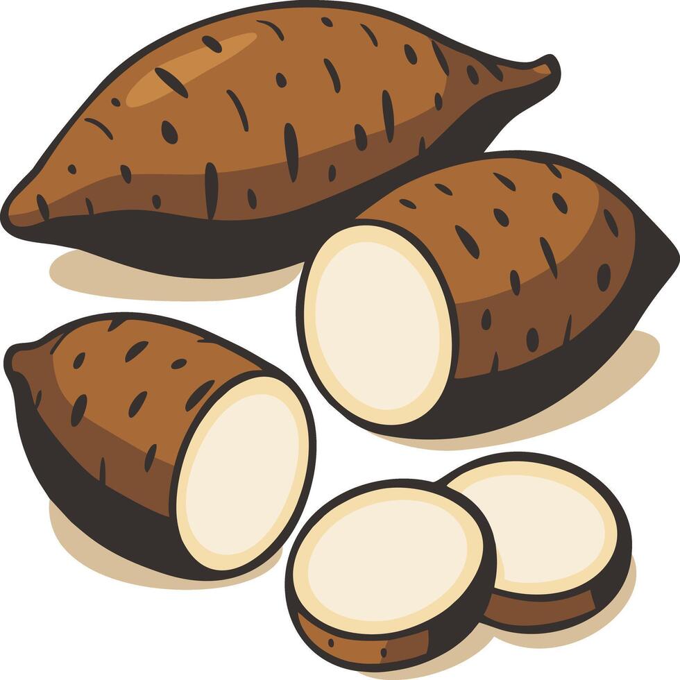 Illustration of Yams and Sweet Potatoes vector