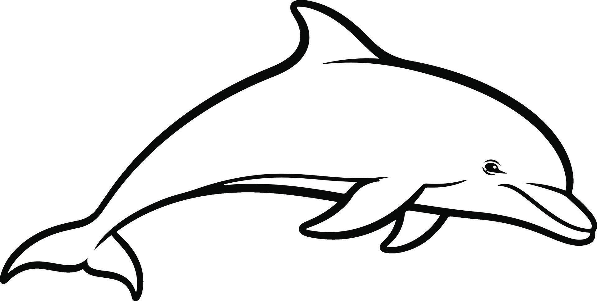 dolphin sketch art vector