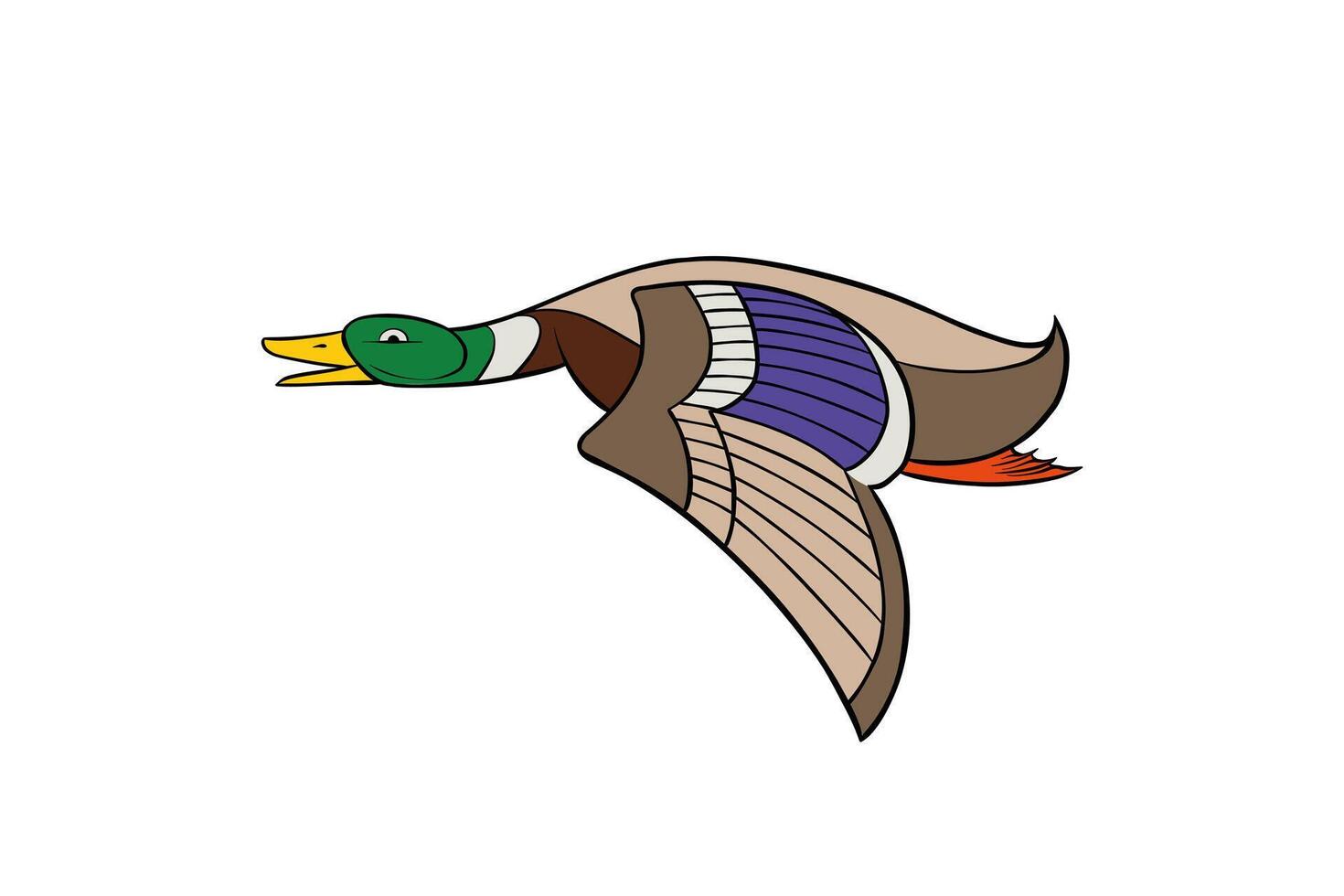 illustration of ballard duck flying on white background vector