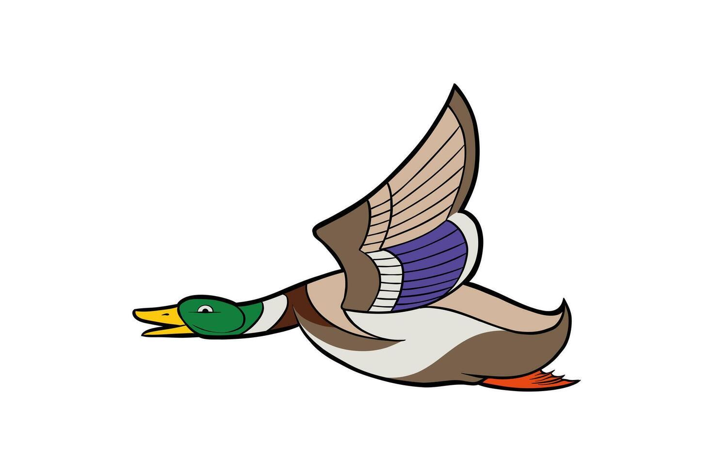 Illustration of a mallard duck flying on a white background vector