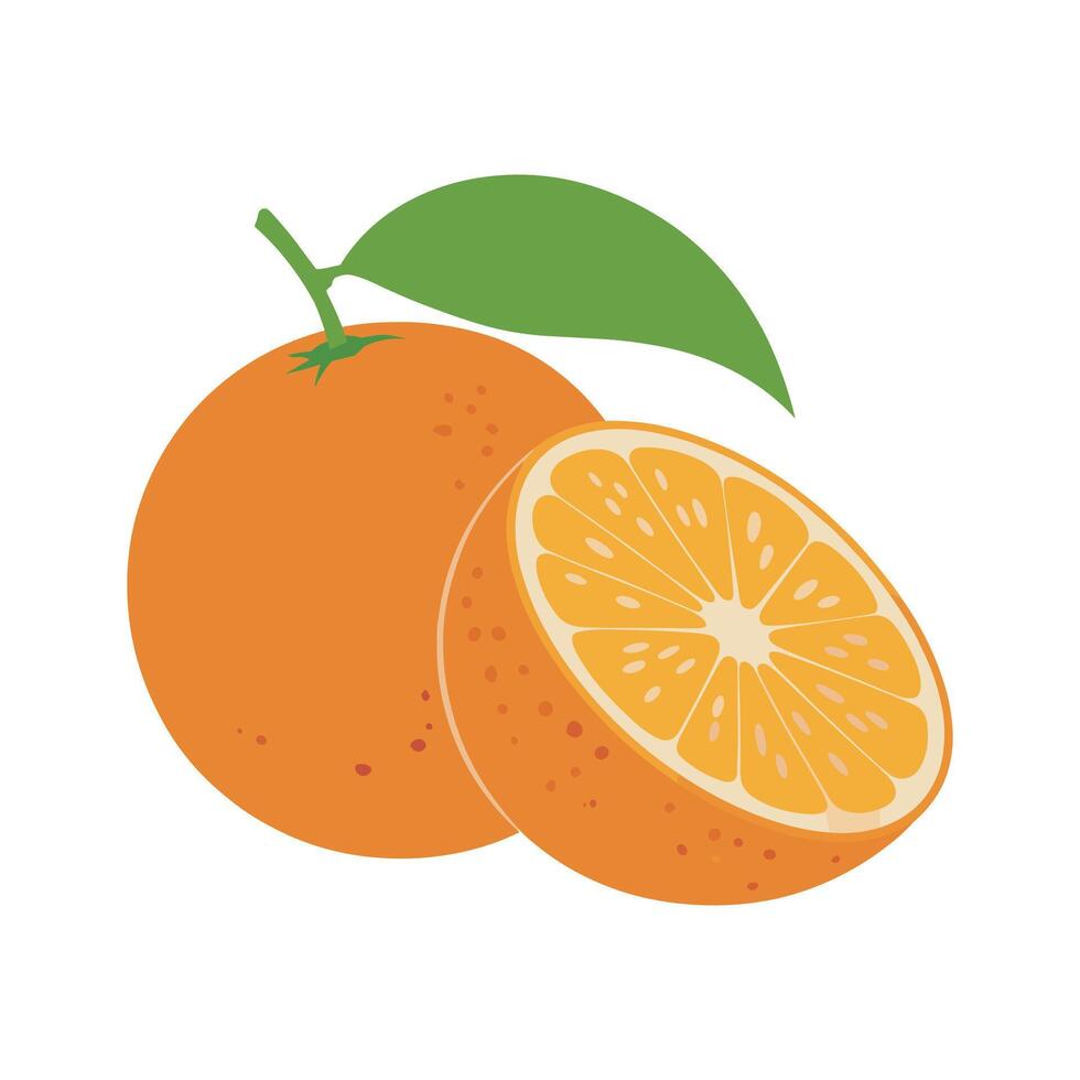 Fresh Orange Fruit with Leaf and Cross Section Flat Citrus Illustration vector