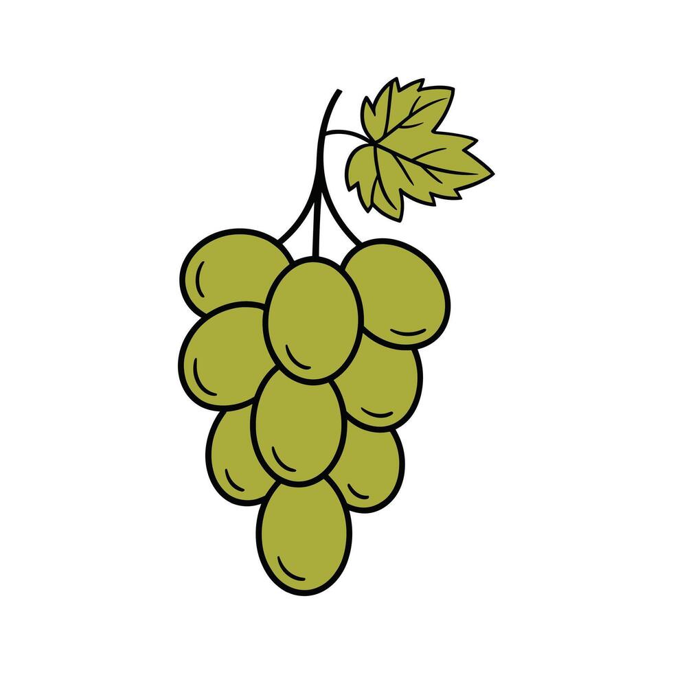 Green Grape Bunch Illustration Cartoon Fruit Icon with Leaf vector