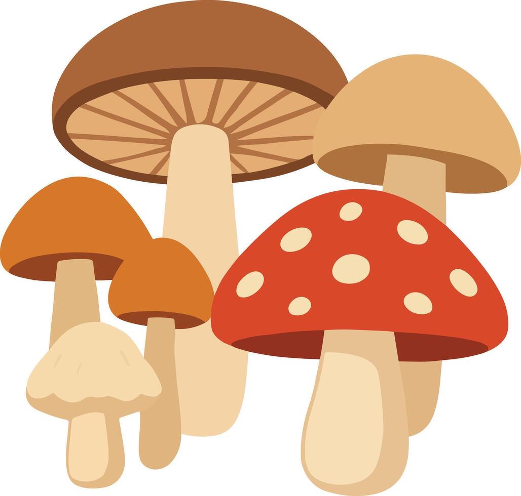 Illustration of Assorted Wild Mushrooms vector