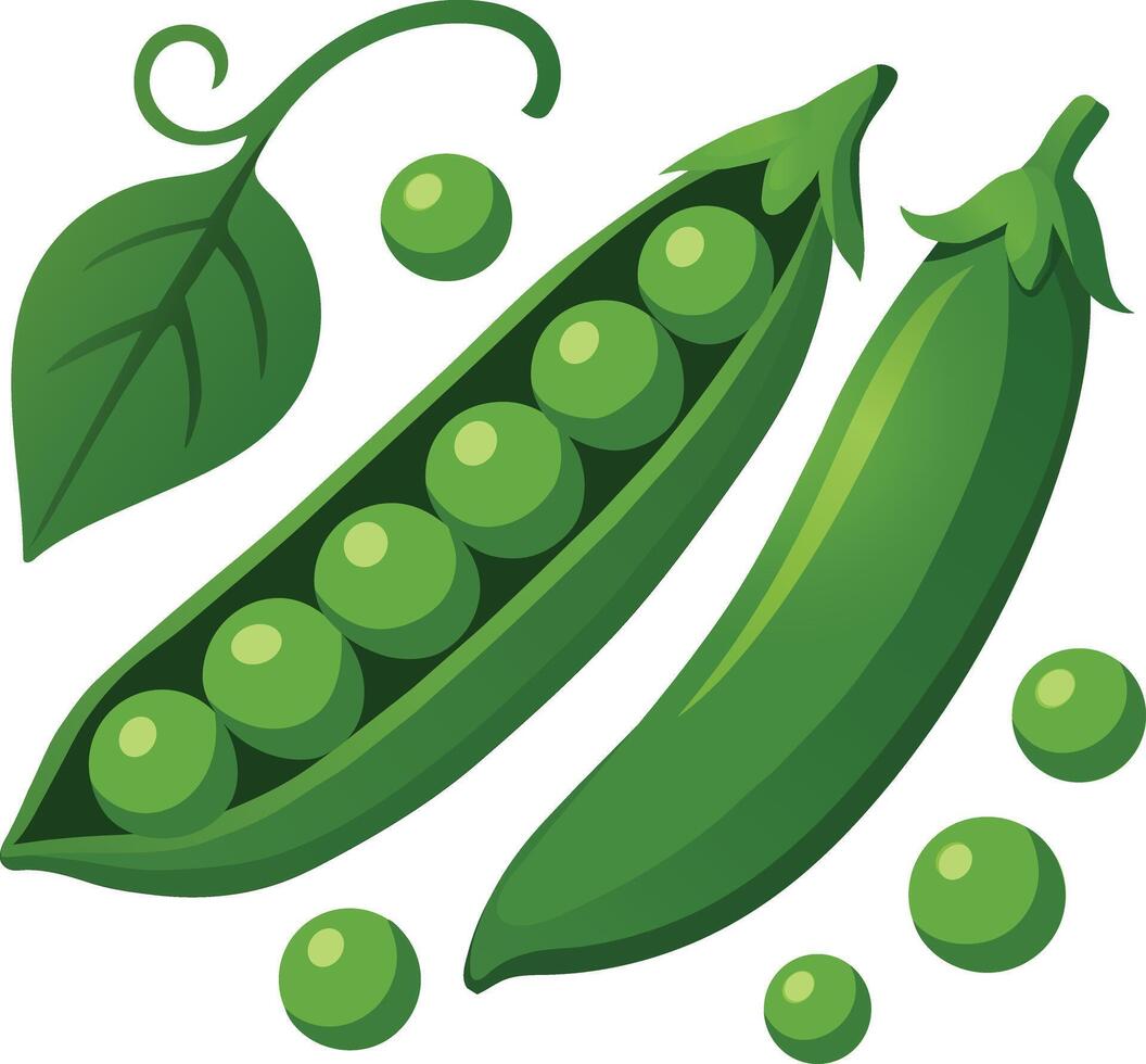 Illustration of Green Peas in a Pod vector
