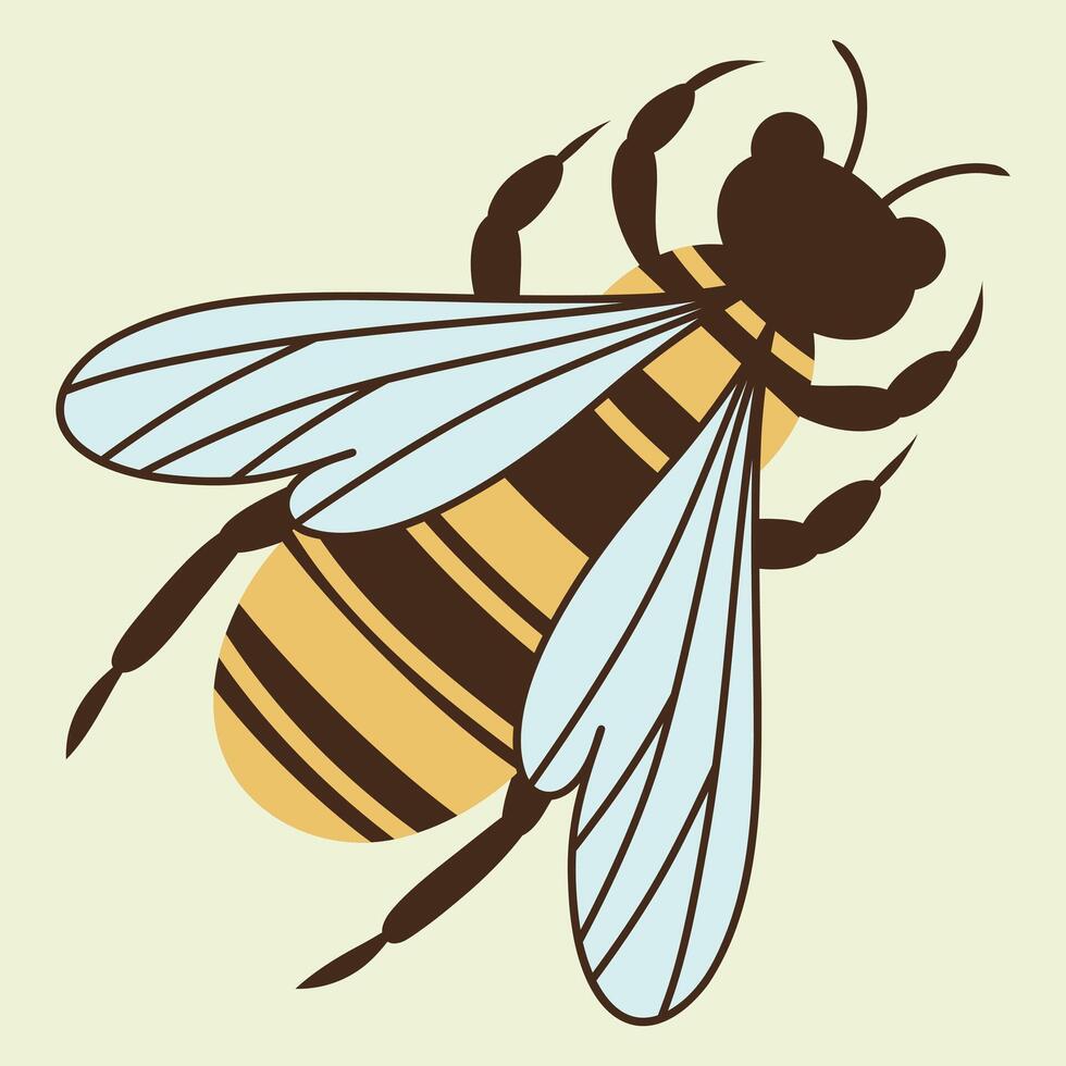 Hand drawn Honey bee on a cream background. Drawing of a bee insect, illustration vector