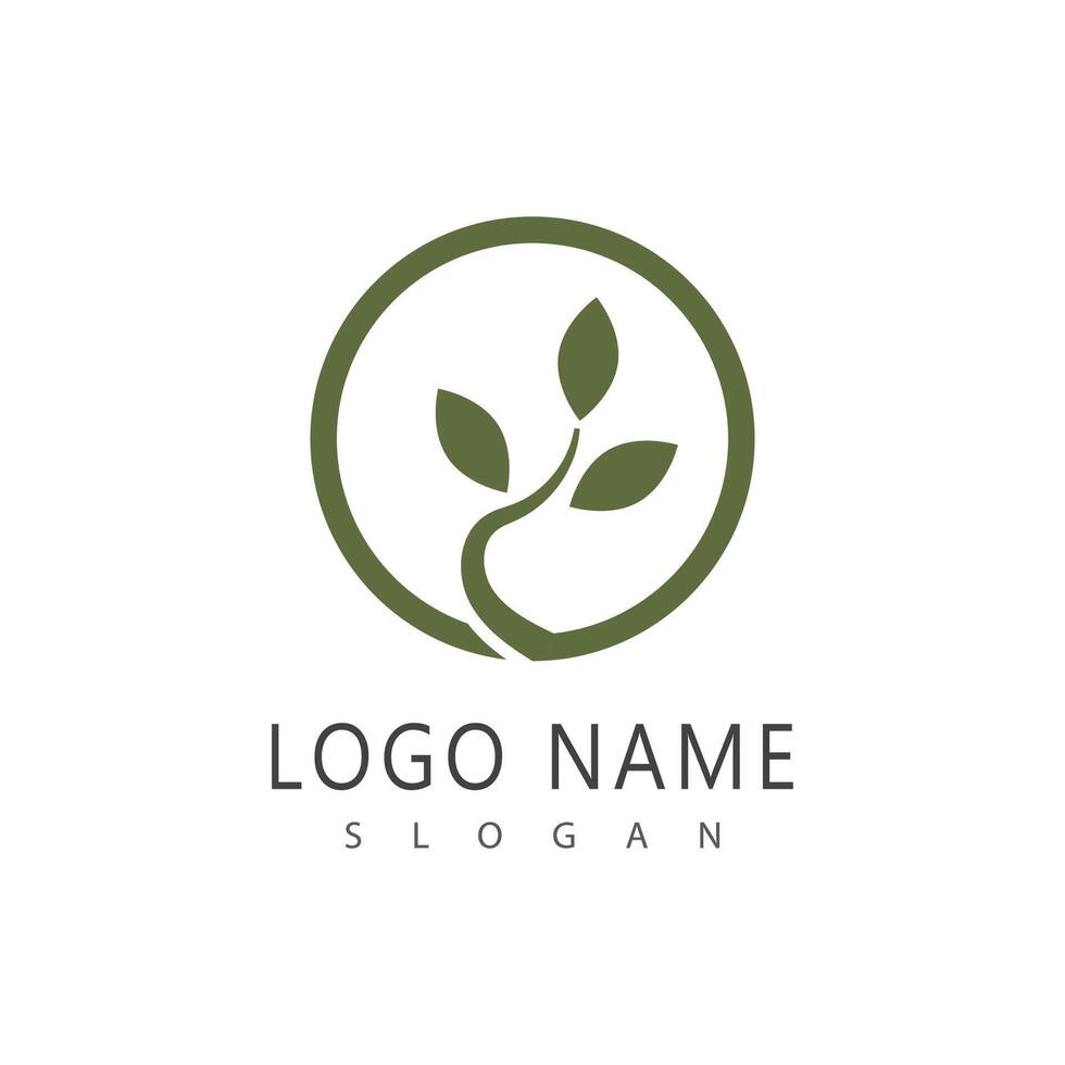 Stylized branch logo simple and symbol vector
