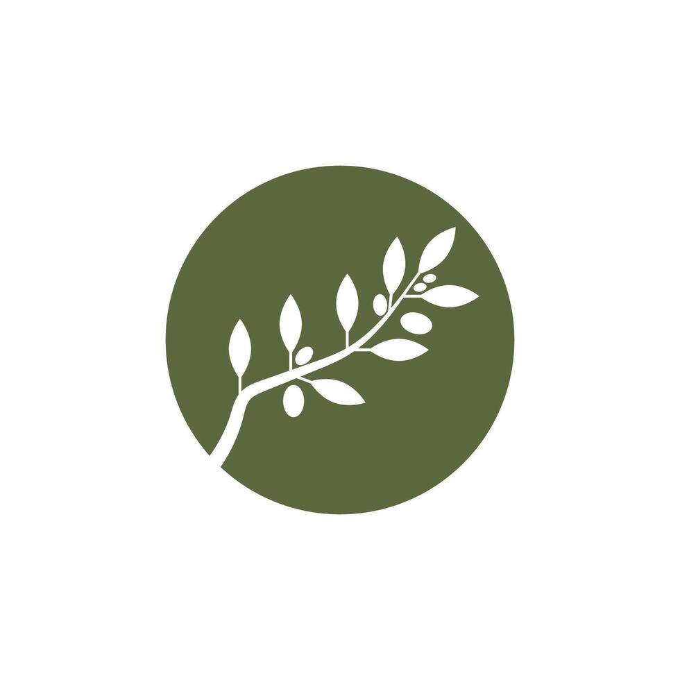 Branch logo element and symbol vector