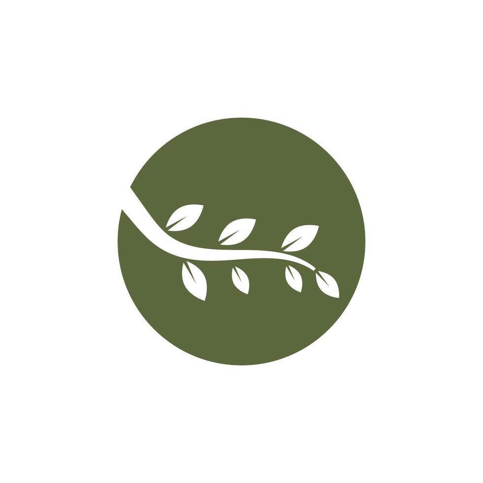 Branch logo and symbol design vector