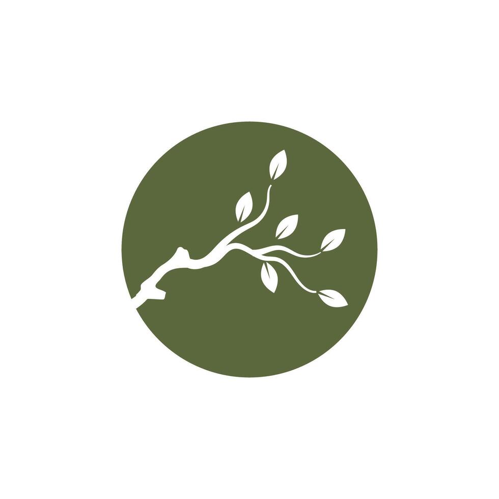 Branch logo and symbol vector
