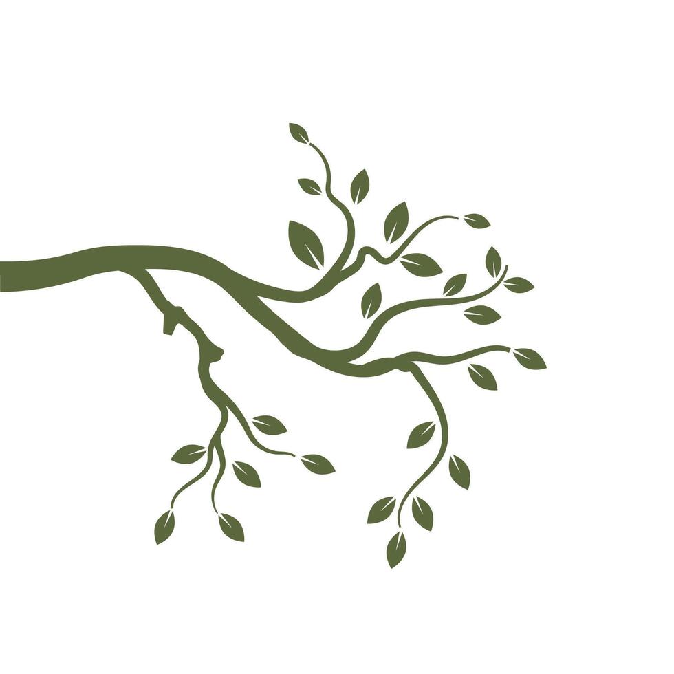 Stylized branch logos and symbol vector