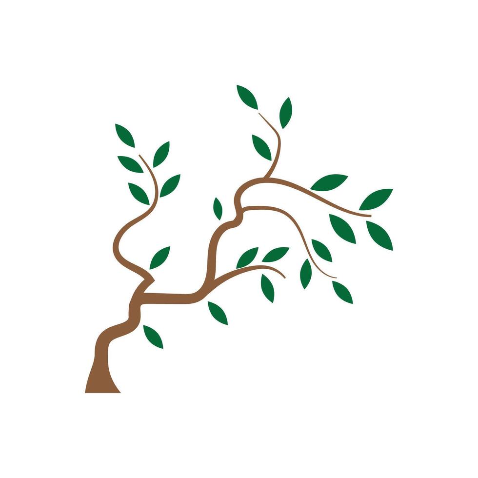 Stylized branch logo and design vector