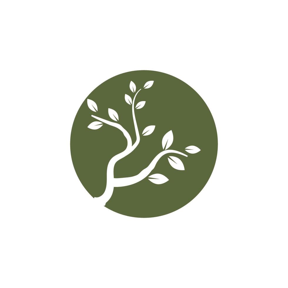 Stylized branch logo and element vector