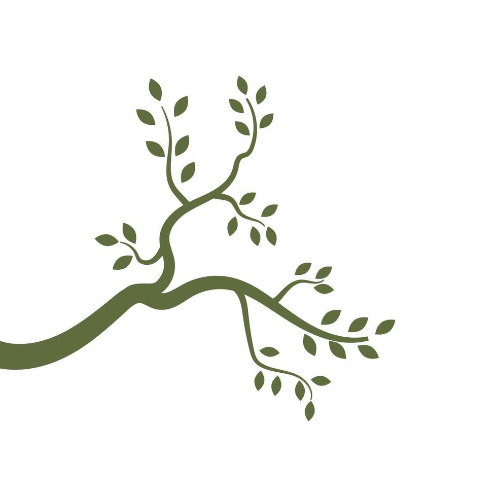 Stylized branch logo element vector