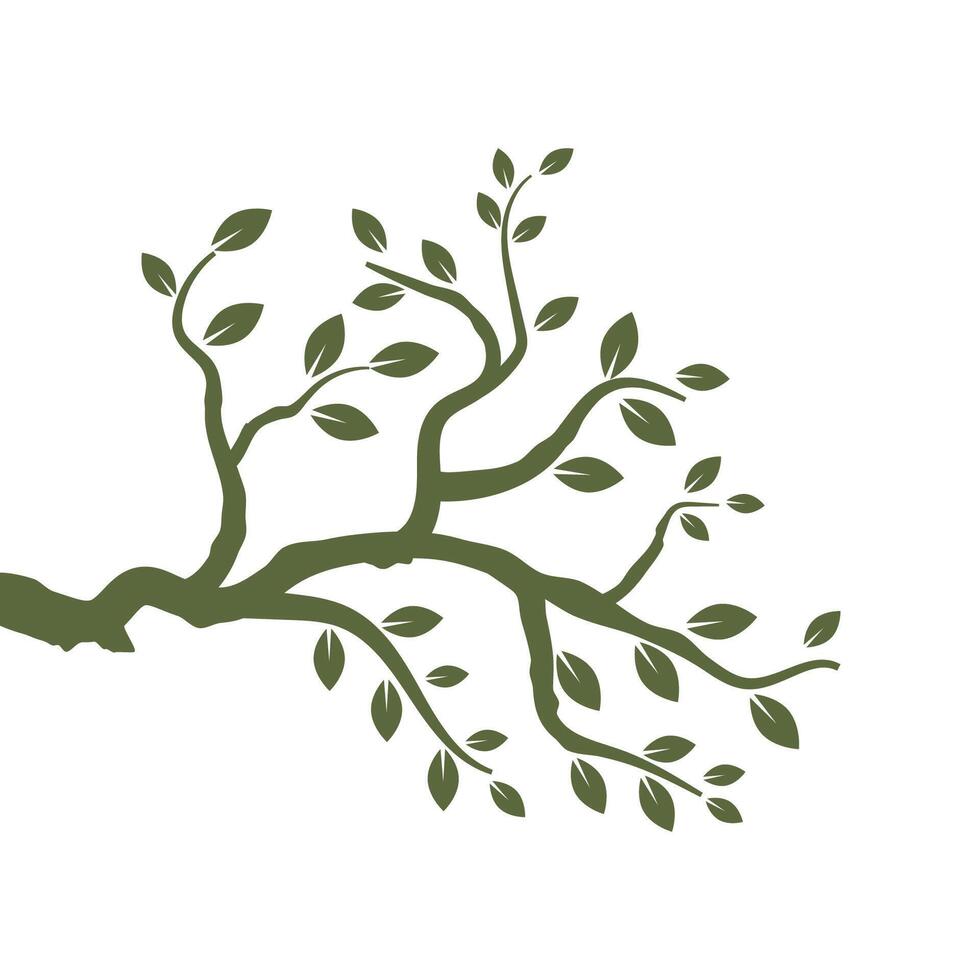 Stylized branch logo symbol design vector