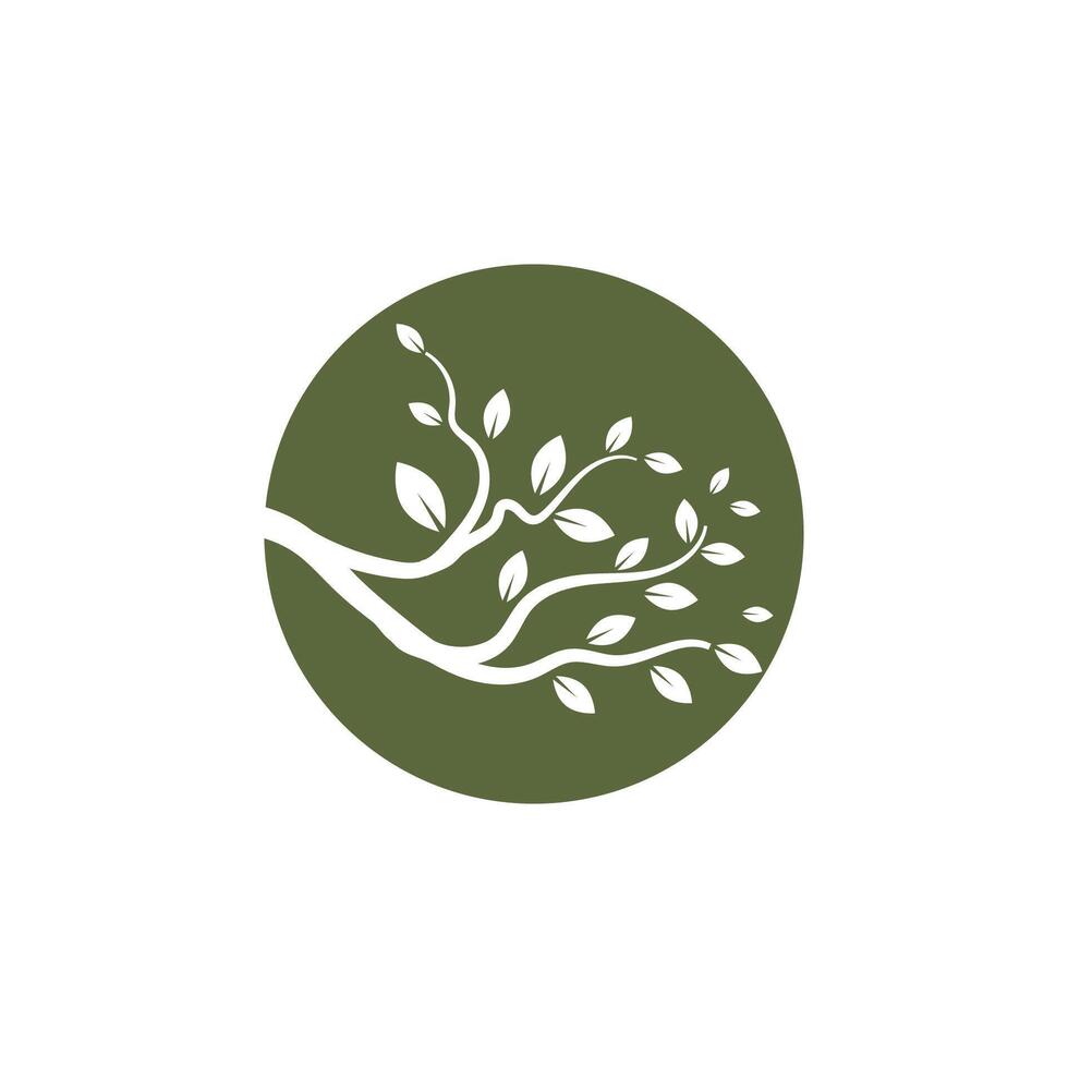 Stylized branch logo and symbol vector