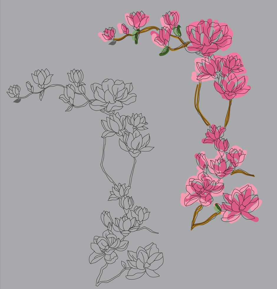 a drawing of a magnolia tree with pink flowers vector