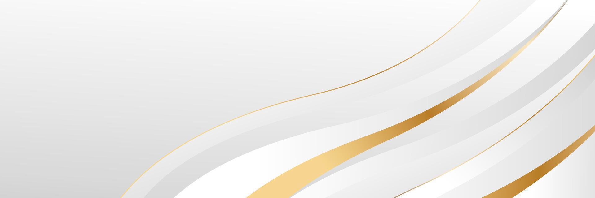 modern abstract background with soft white lines and gold streaks vector