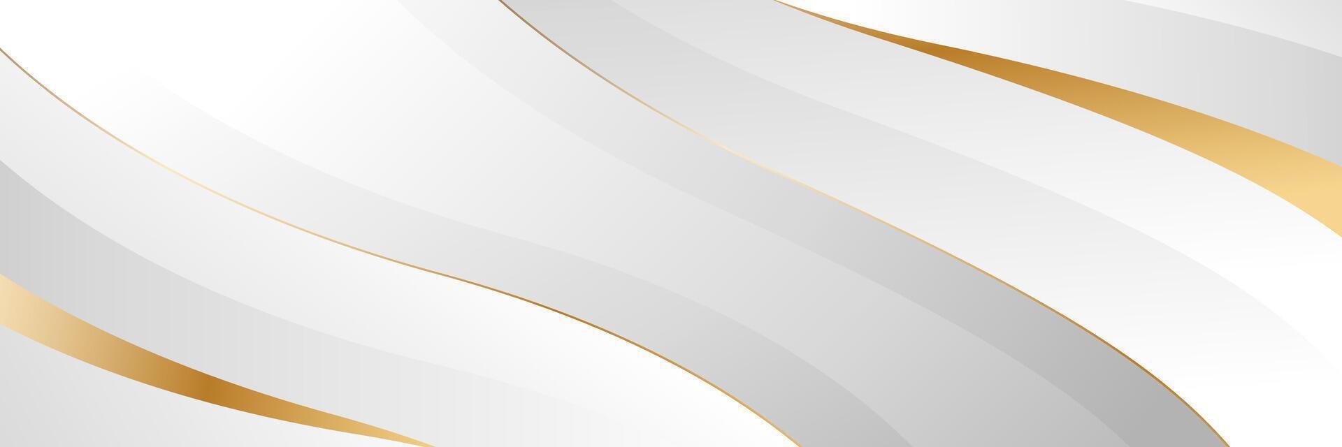 Abstract modern white-gray and gold luxury banner background vector