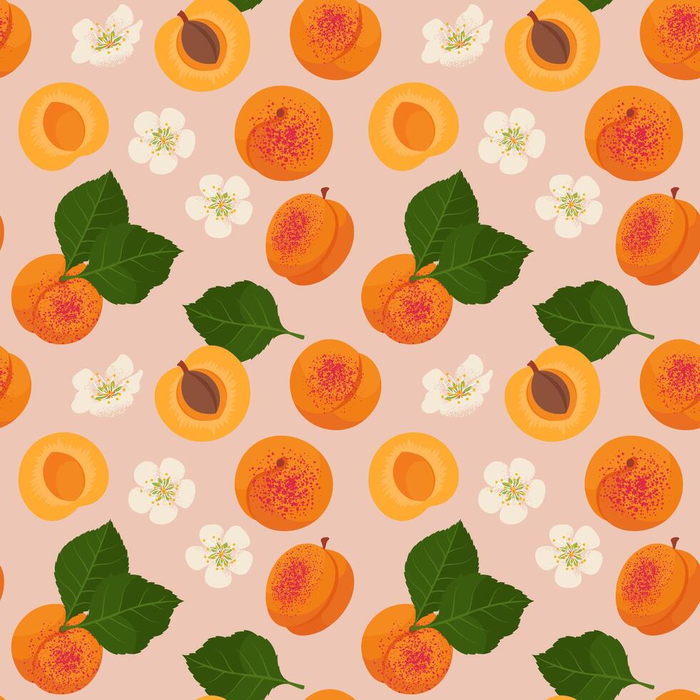 Retro style Slices Apricots seamless pattern. Illustration in hand-drawn style. vector