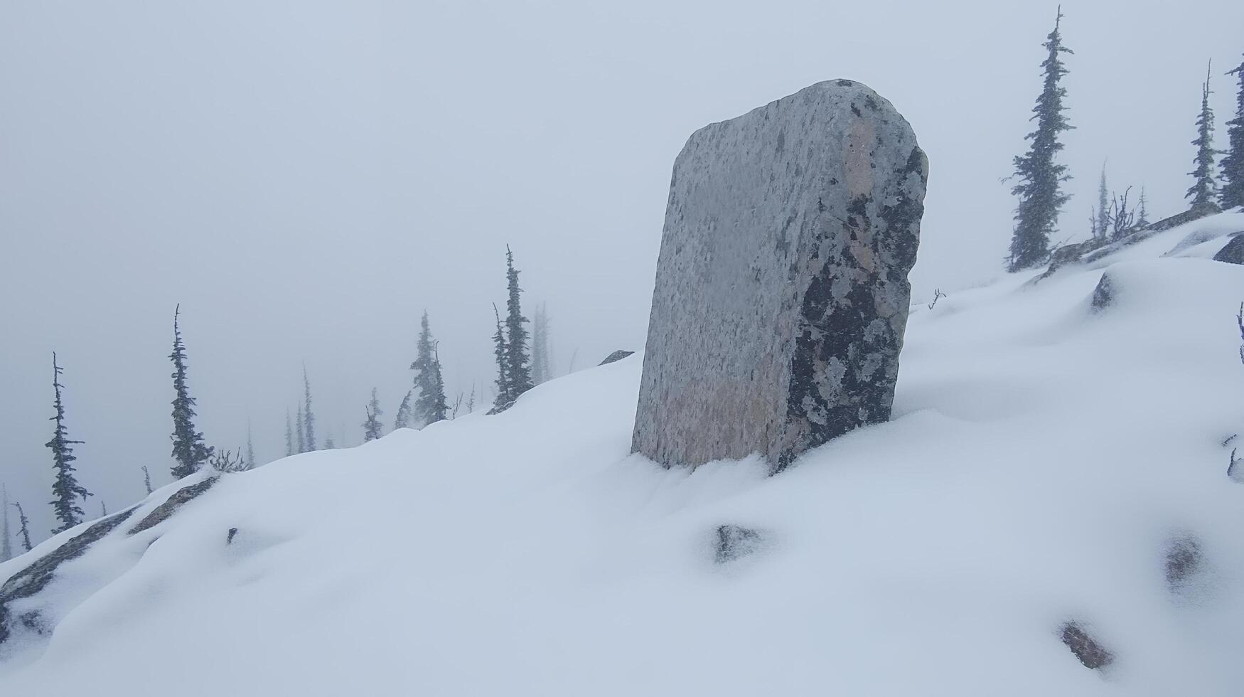 A snowy mountain landscape with a large rock and evergreen trees shrouded in fog and mist scenery photo