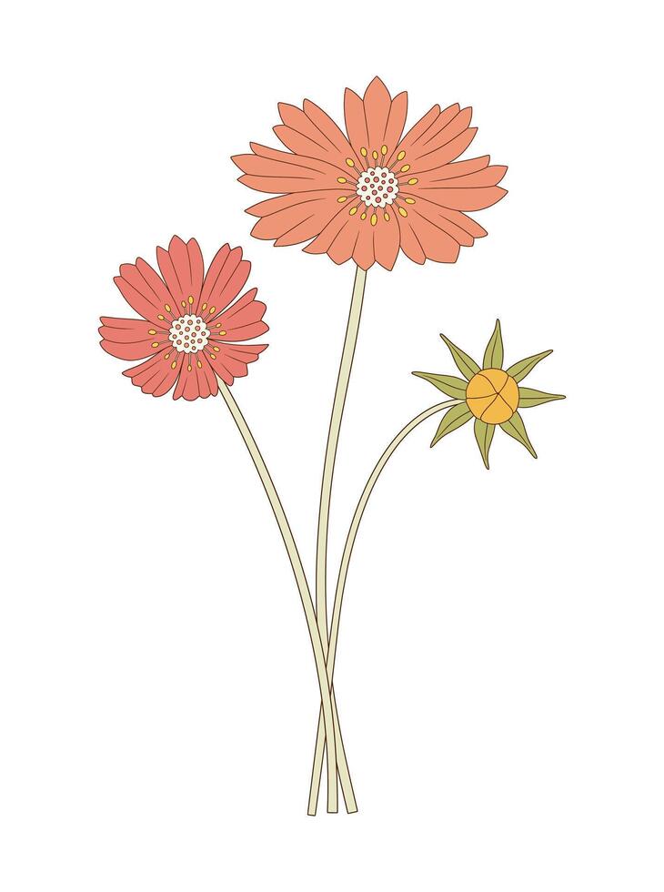 Bright bouquet of cosmea flowers. Bunch of blooming perennial wild plants. Botanical hand drawn elements for design projects. vector