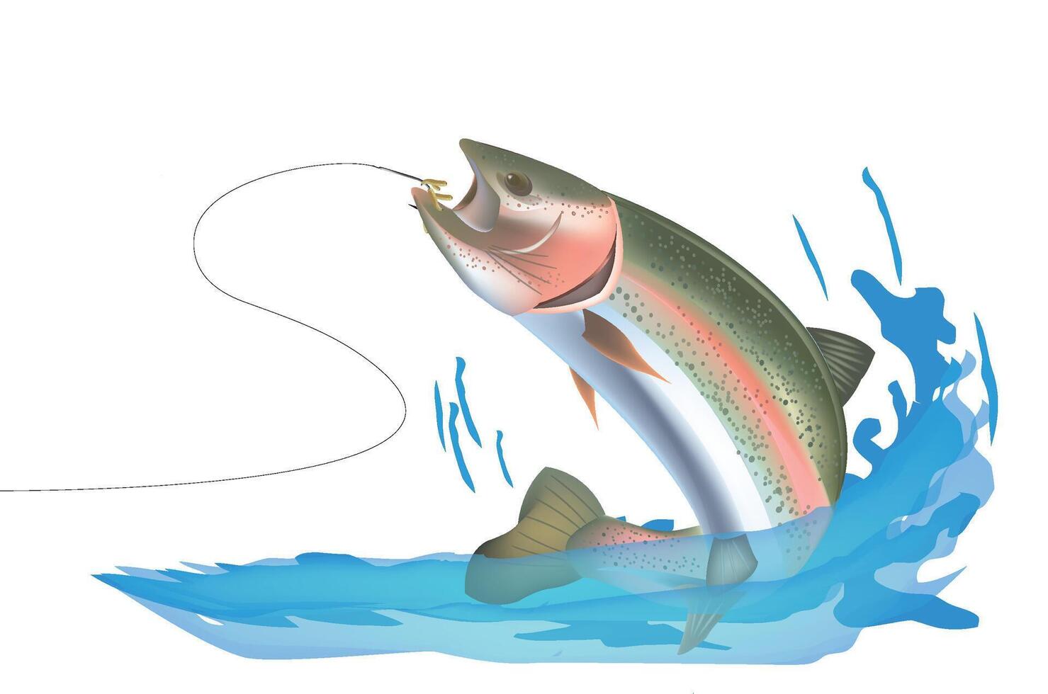 A rainbow trout is jumping out of the water with a fishing rod vector