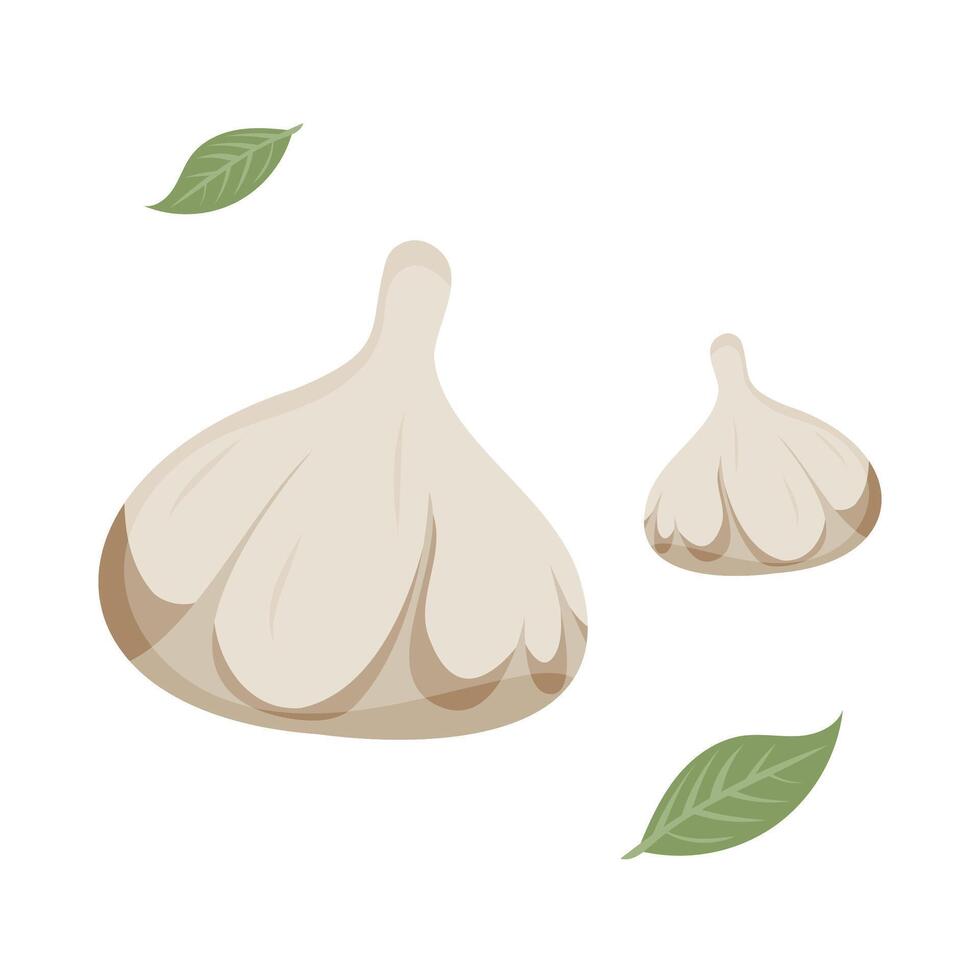 Two garlic cloves and green leaves create a simple culinary illustration. vector