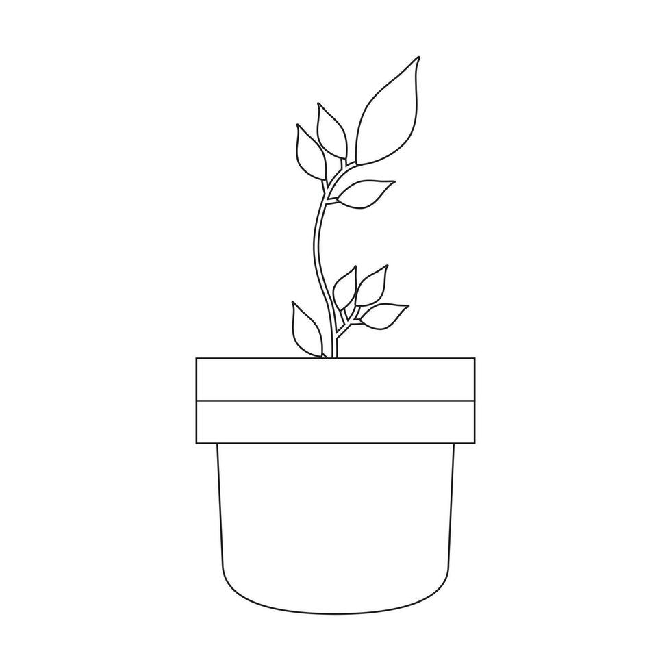 Stylish outline Drawing of Indoor Plant in Pot vector