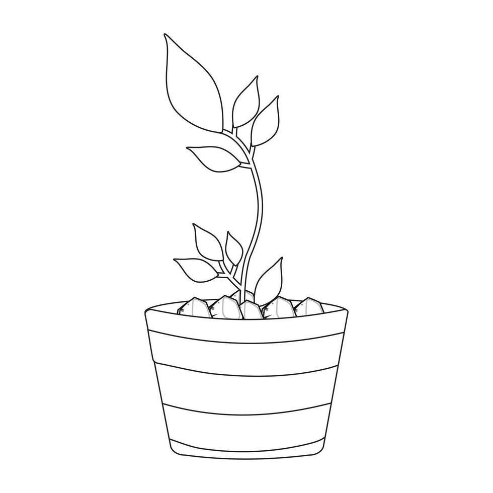 Elegant OutLine Drawing of Potted Plant Minimalist Design vector